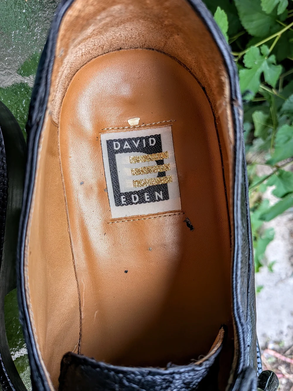 David Eden Men's Exotic 